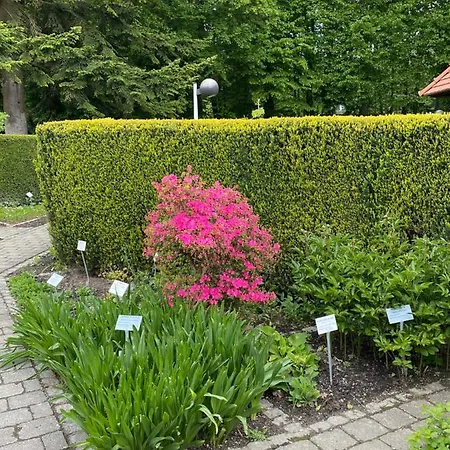 Apartment Appartementhof Stadler